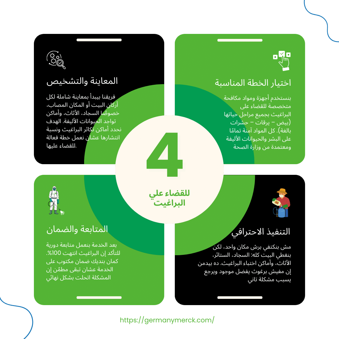 إزاي بنقضي على البراغيت نهائيًا في 4 خطوات بسيطة؟