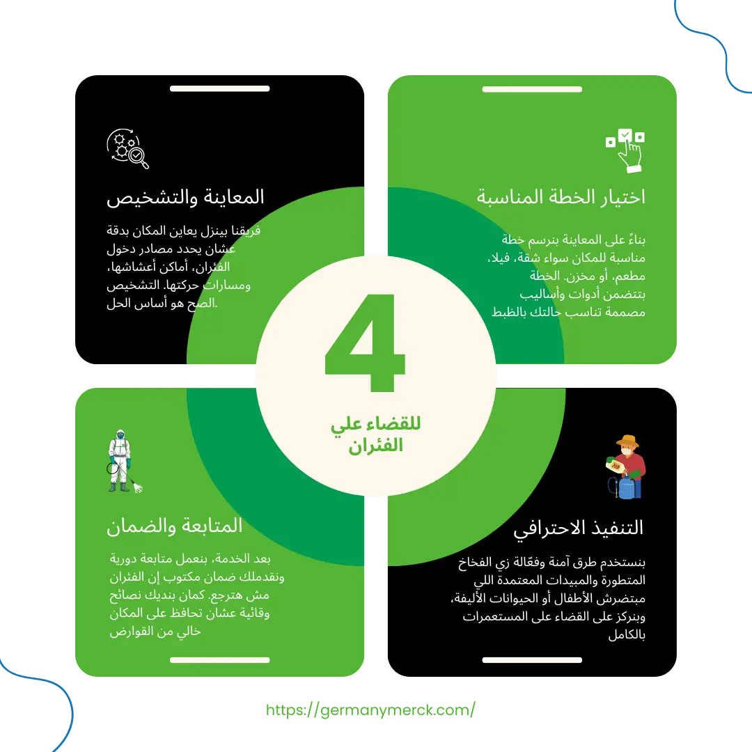 إزاي بنقضي على الفئران في 4 خطوات بسيطة؟