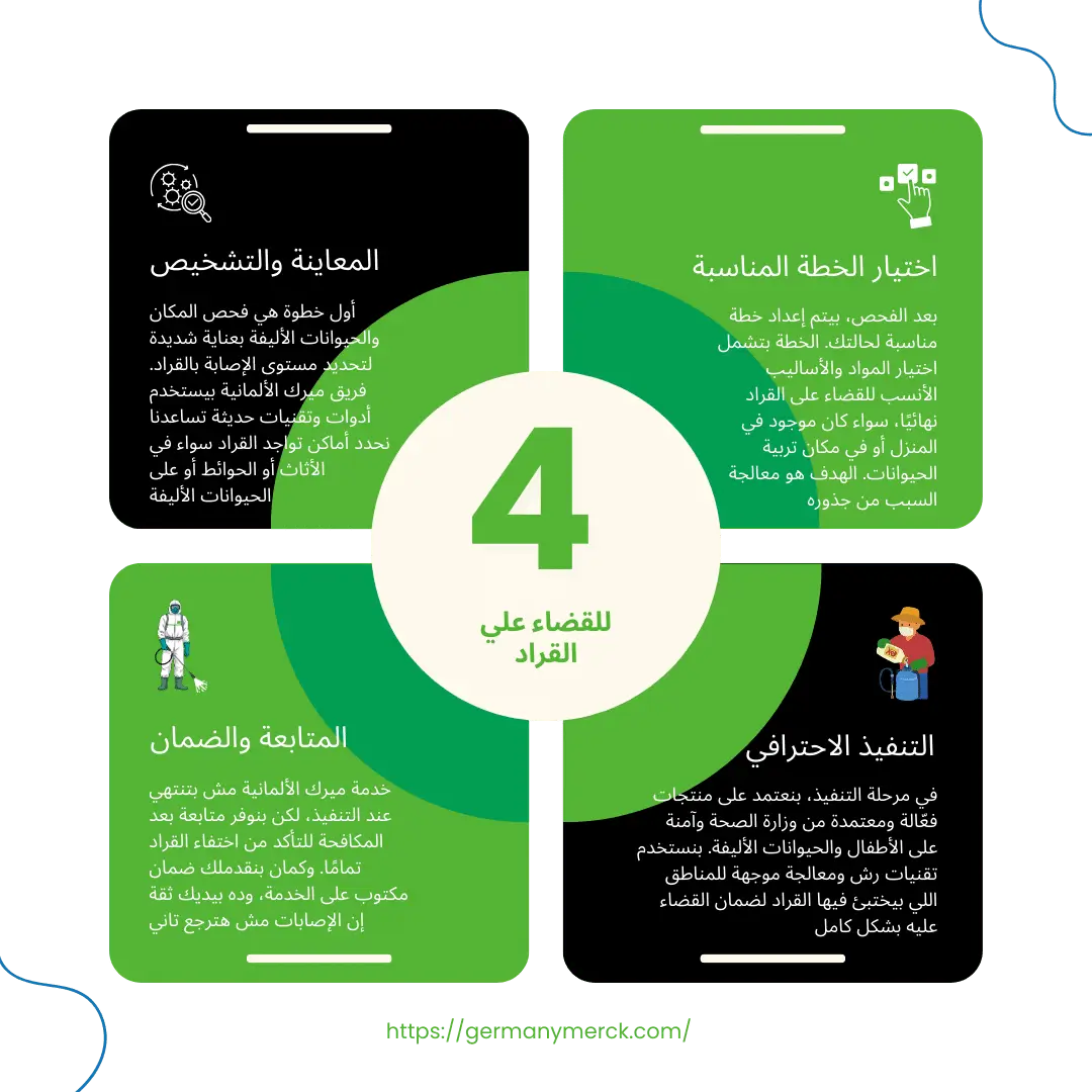 إزاي بنقضي على القراد نهائيًا في 4 خطوات بسيطة؟