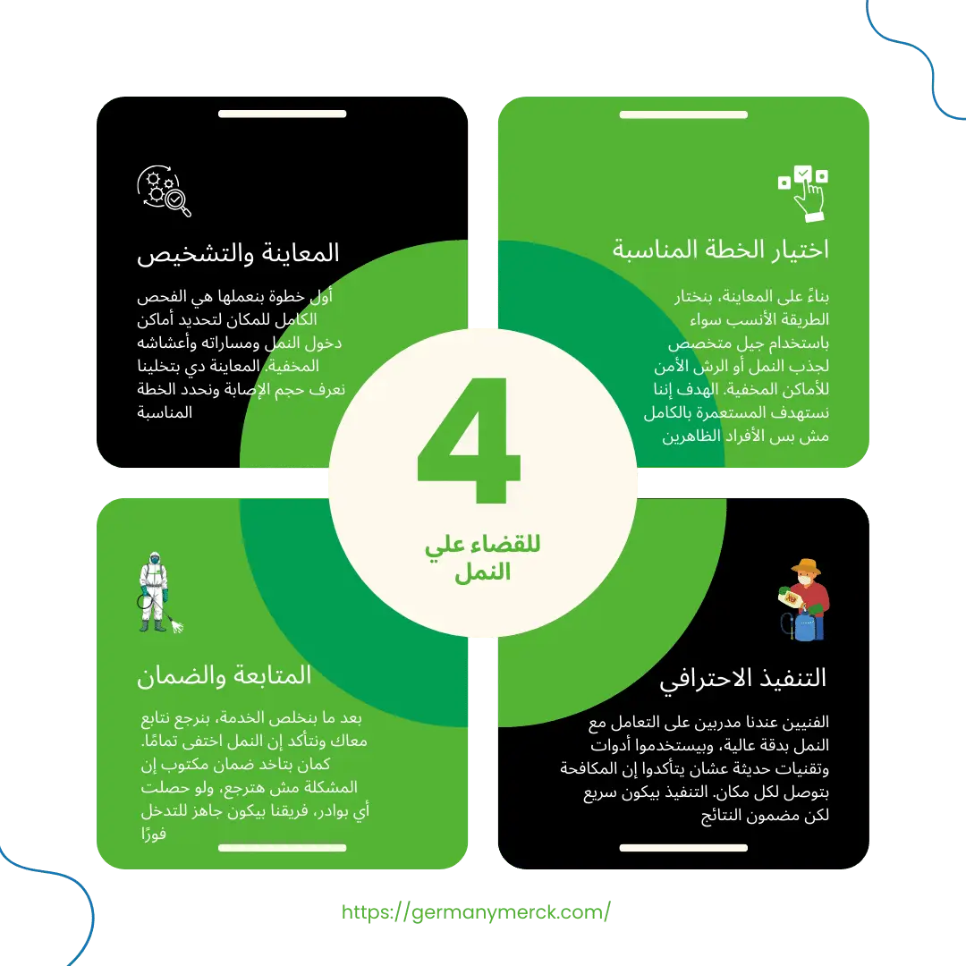 إزاي بنقضي على النمل في 4 خطوات بسيطة؟