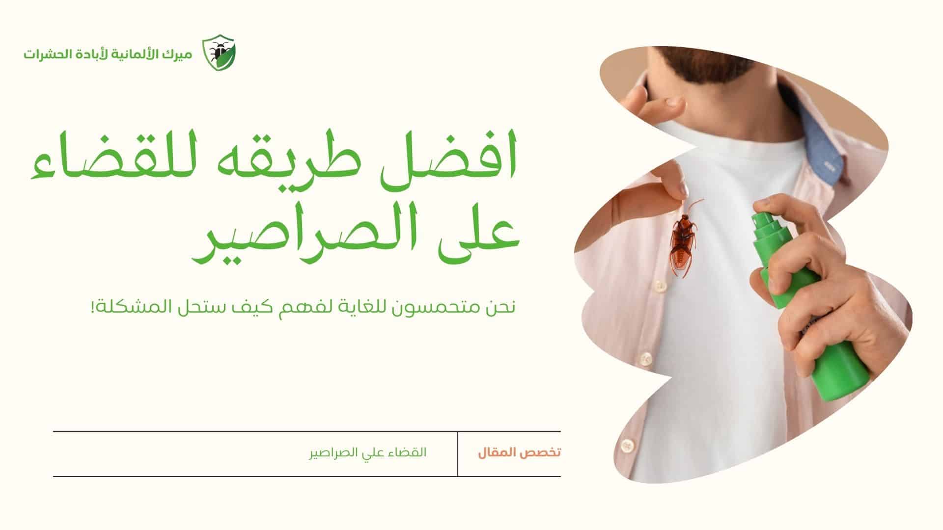 افضل طريقه للقضاء على الصراصير في المطبخ والحمام نهائيًا