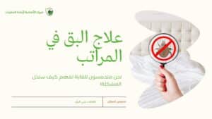 علاج البق في المراتب – دليل شامل للتخلص من بق الفراش نهائيًا