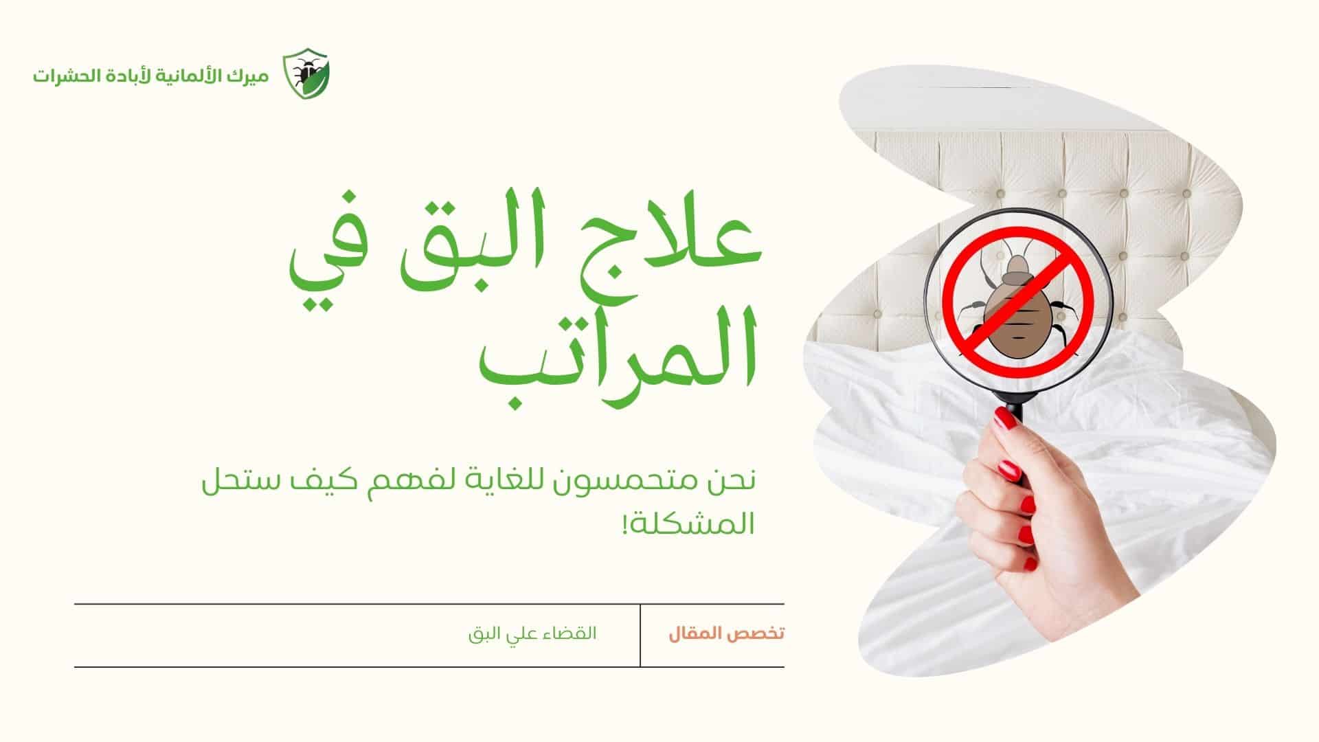 علاج البق في المراتب – دليل شامل للتخلص من بق الفراش نهائيًا