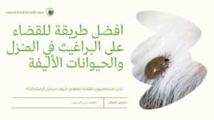 افضل طريقة للقضاء على البراغيث في المنزل والحيوانات الأليفة