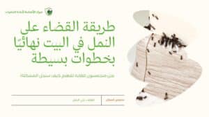 طريقة القضاء على النمل في البيت نهائيًا بخطوات بسيطة